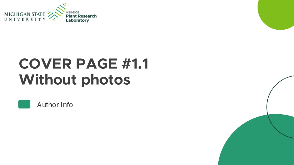 Powerpoint slide template standard size