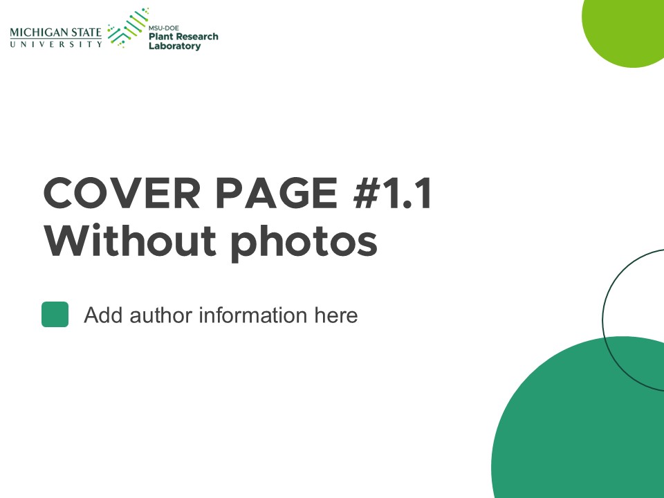 Powerpoint slide template widescreen