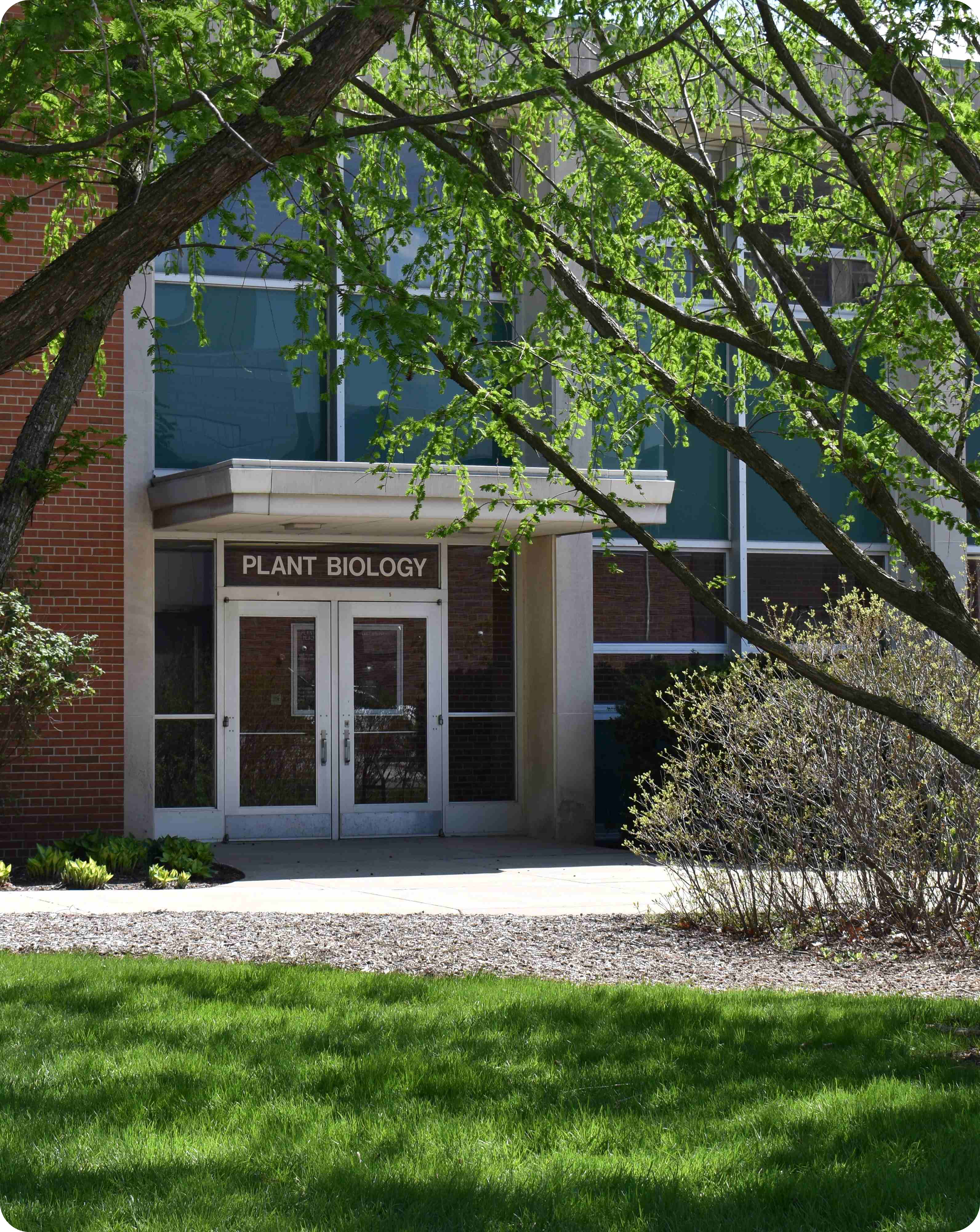 The front door of the plant biology building, framed by tree branches