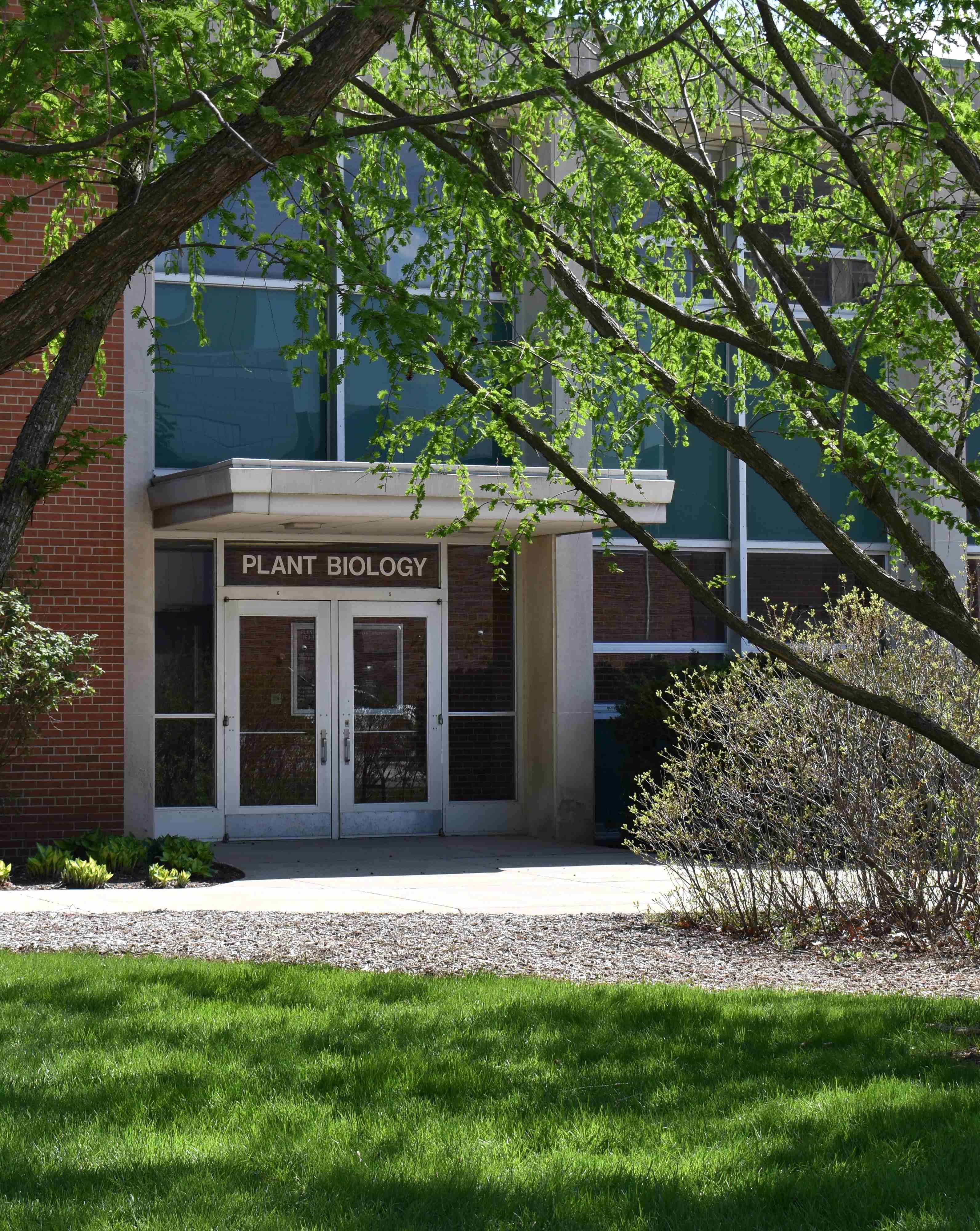 The front door of the plant biology building, framed by tree branches