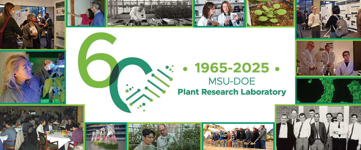 PRL 60th anniversary logo