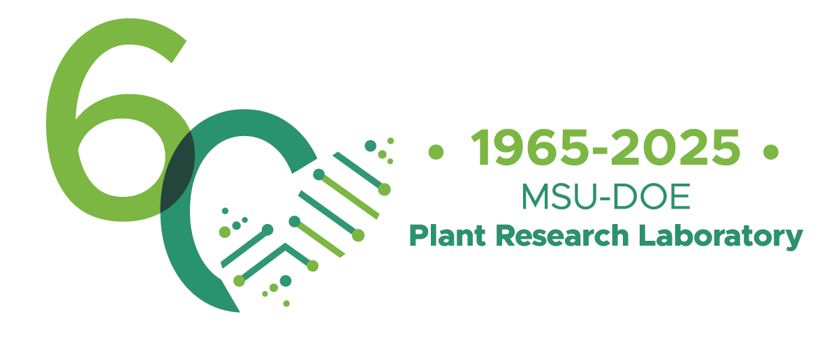 PRL 60th anniversary logo