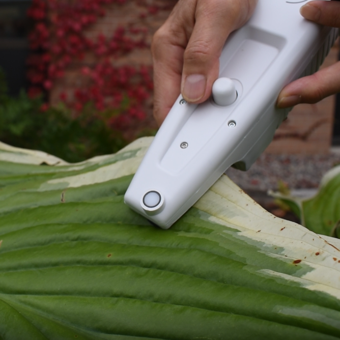 An instrument clamps to a leaf