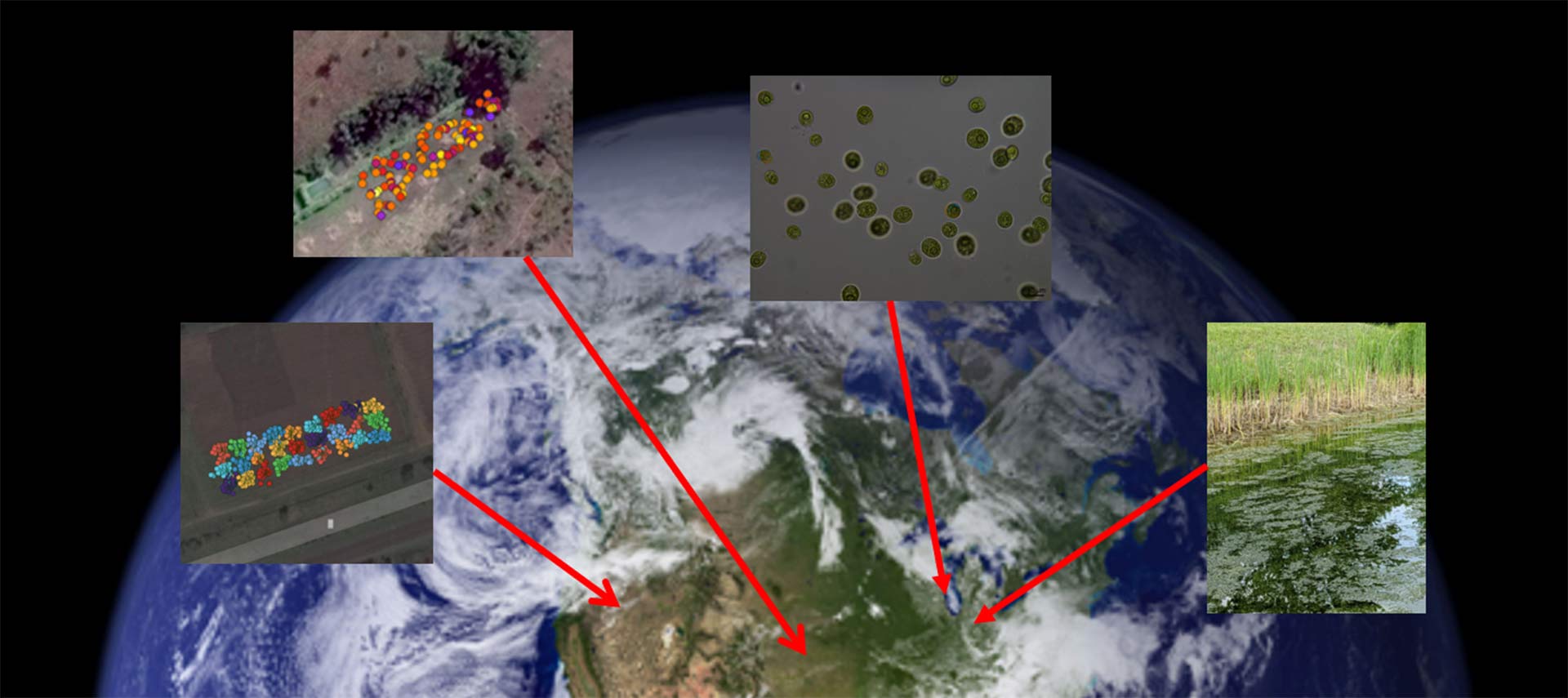 Earth seen from space. Four images of algae show with arrows pointing to different points of land.