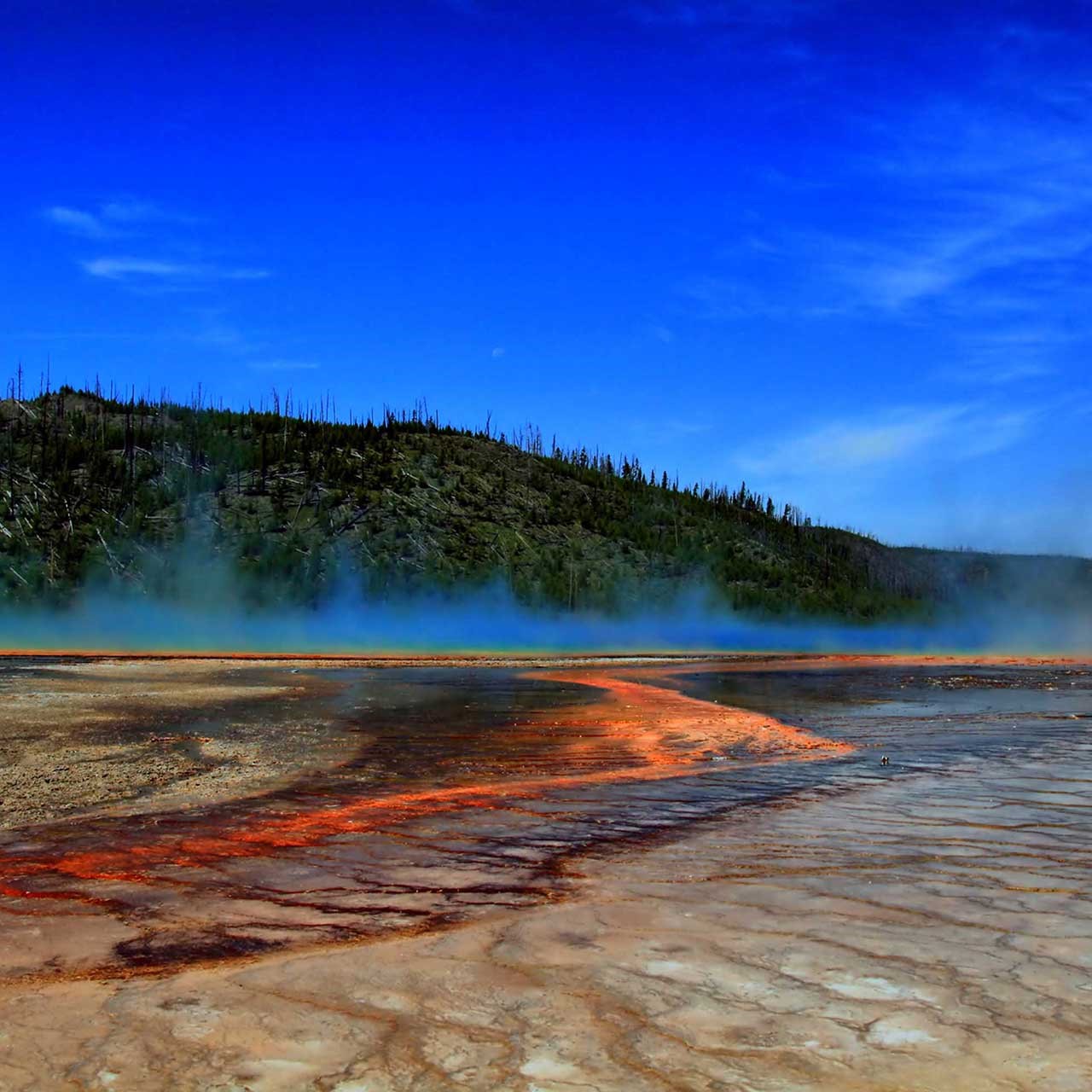 The Grand Prismatic Spring of Yellowstone National Park showing steam rising from hot water, which is surrounded by huge mats of brilliant orange algae and bacteria
