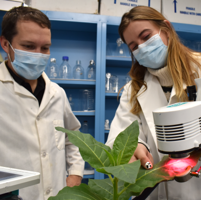 Berkley Walker and Heather Roney scanning a plant's leaf