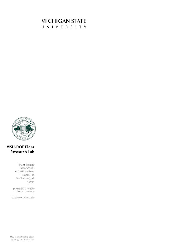 Letterhead