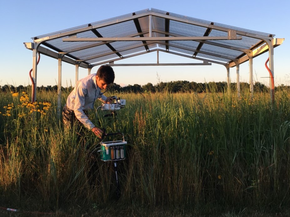 Mauricio measures photosynthesis inside a rainfall exclusion shelter
