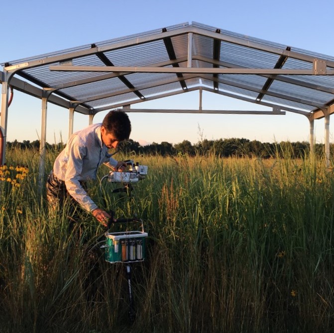 Mauricio measures photosynthesis inside a rainfall exclusion