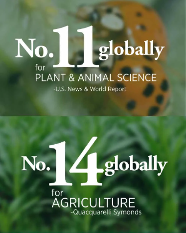 Number 11 globally for plant and animal science. U S news and world report. Number 14 globally for agriculture. Quacquarelli symonds.