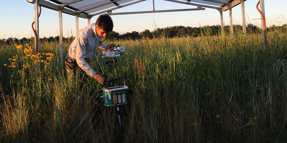 Mauricio Tejera-Nieves in a field of switchgrass