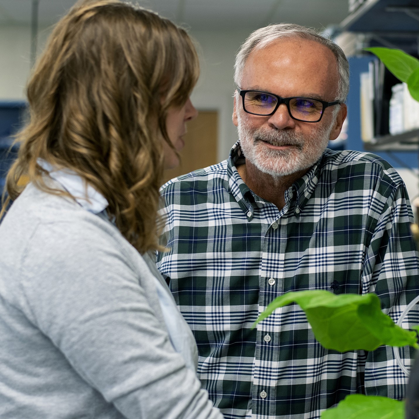 Standing near a plant and lab equipment, Tom Sharkey talks to a member of his research team at Michigan State University. 