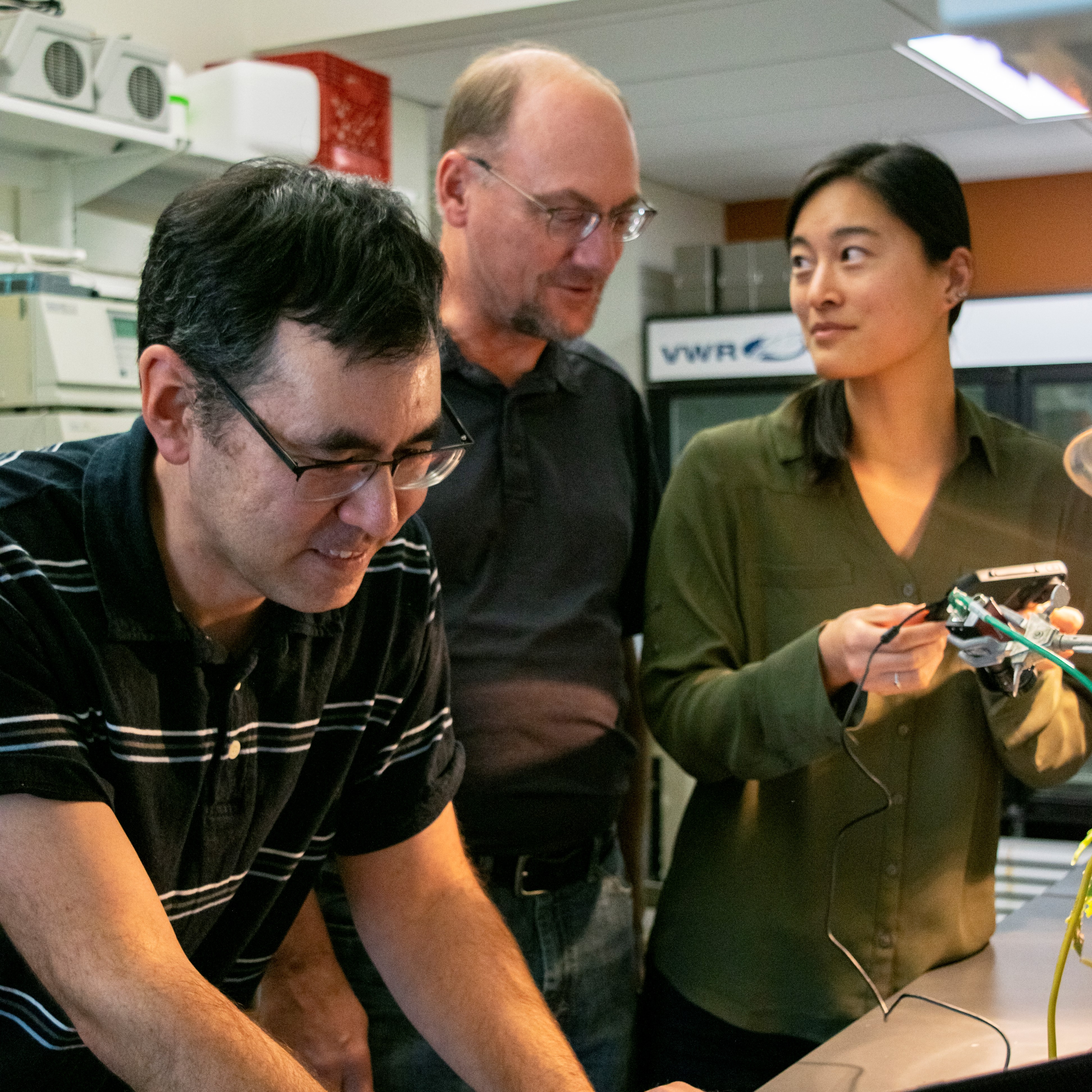 Ian Major works with Gregg Howe and Leah Johnson in the lab