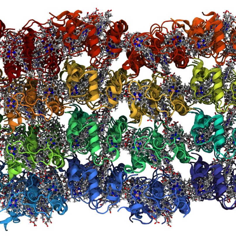 A computer graphic of rainbow colored proteins