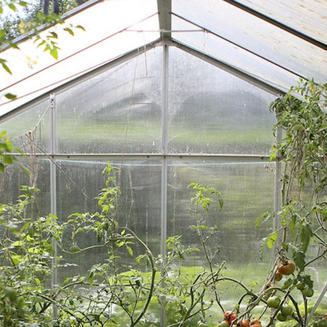 The inside of a greenhouse