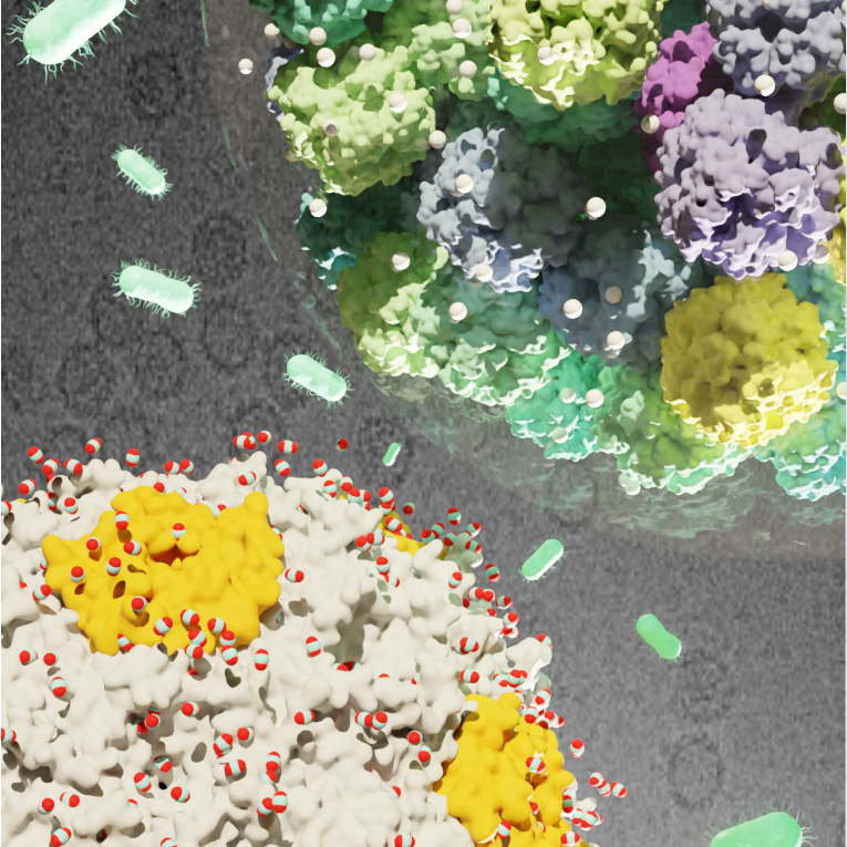 A computer rendering. A round ball made of smaller dots colored yellow, purple, and green floats in the upper right corner. Another made of yellow, white and red dots floats in the bottom left. Green ovals float inbetween the balls.