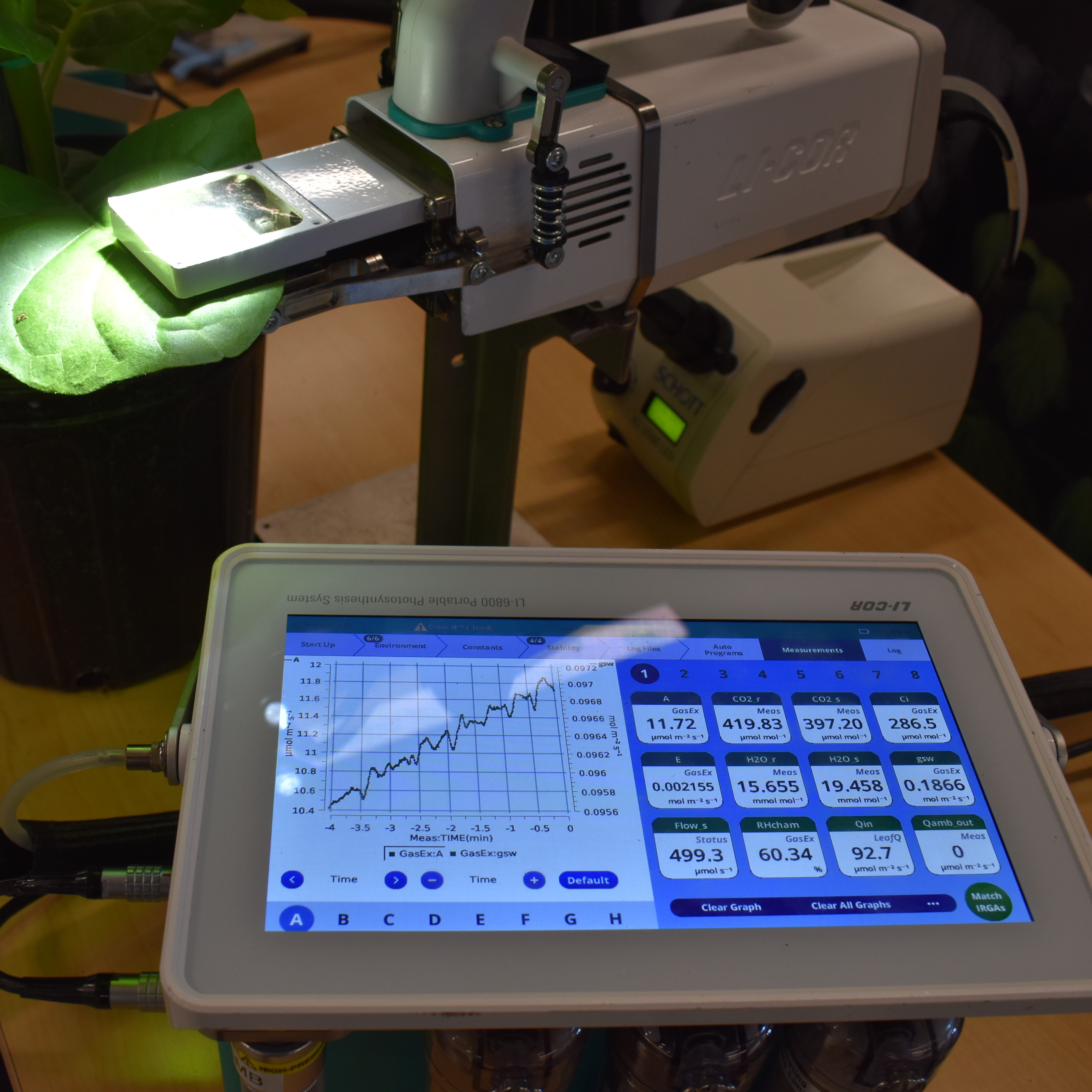 A scientific instrument clamps onto a leaf and a screen shows readouts