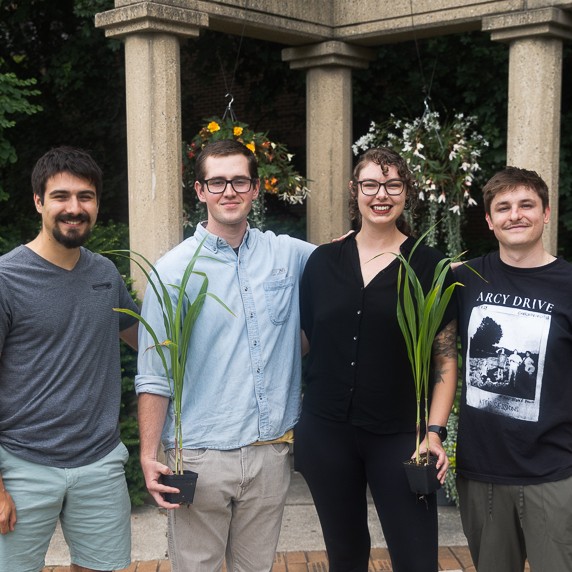 Four people standing and holding sorghum plants