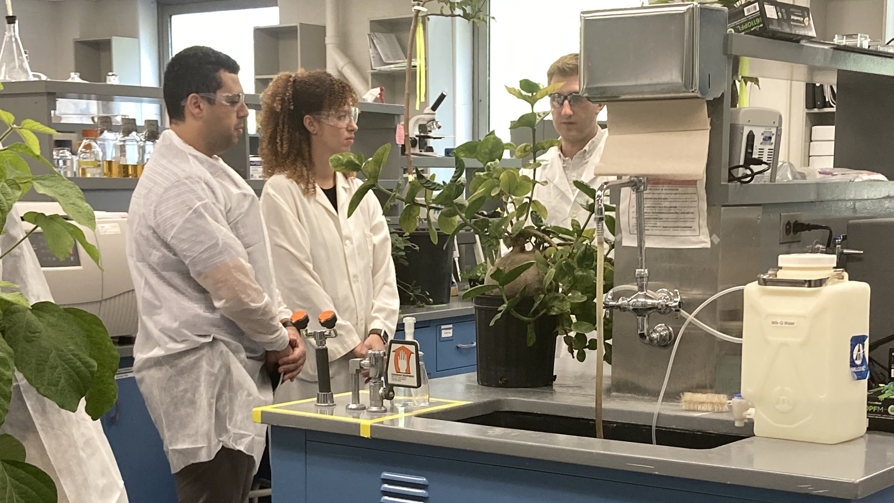 Three people in lab coats look at plants
