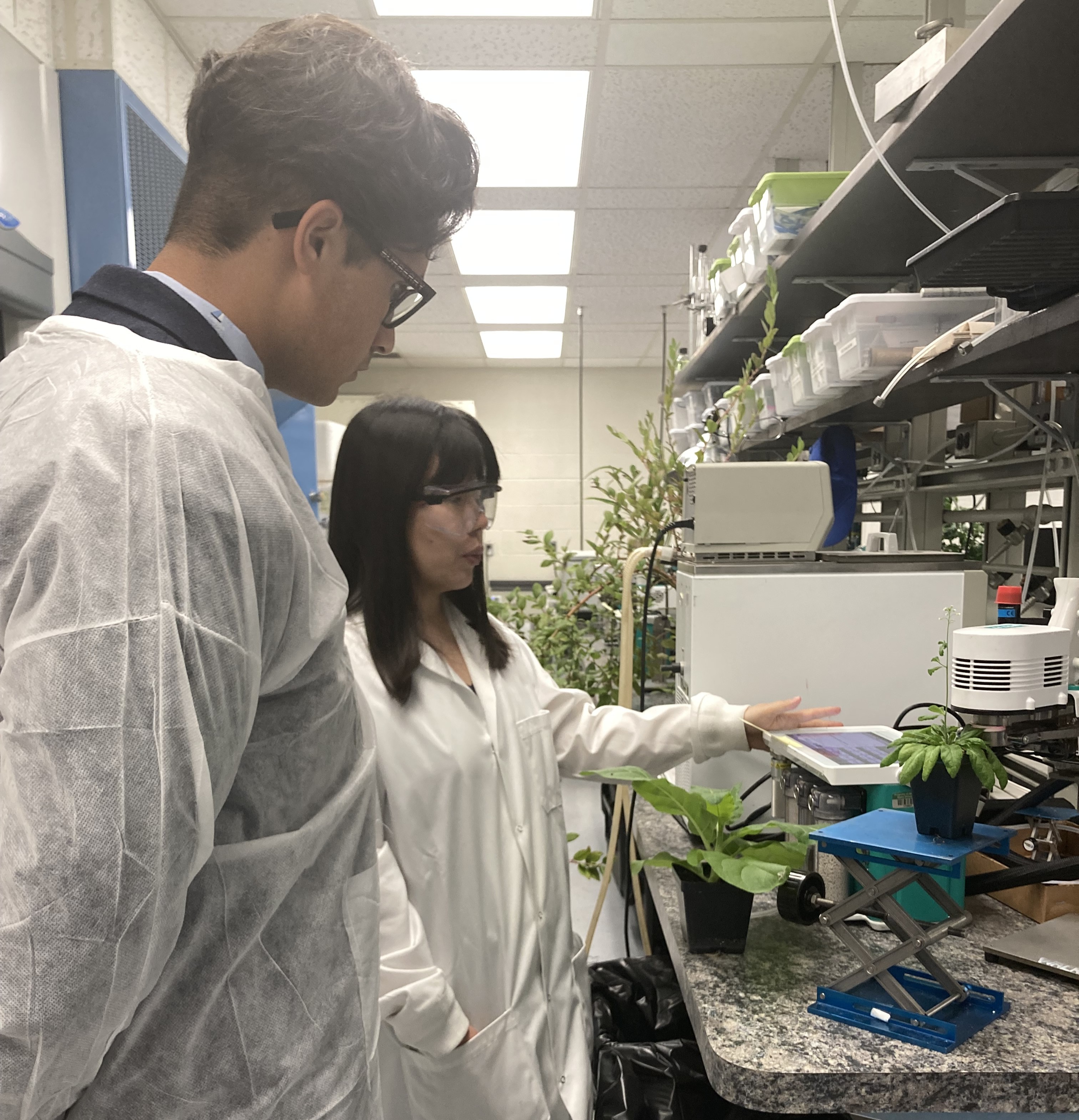 Two people in lab coats look at plants
