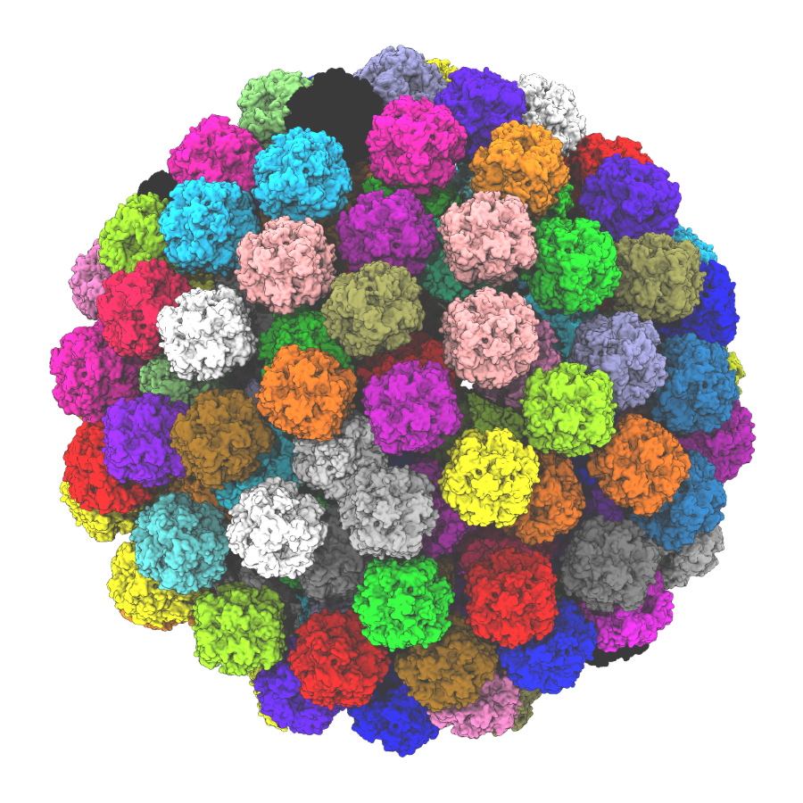 A computer graphic of a rubisco enzyme